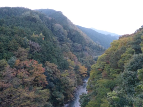 画像75