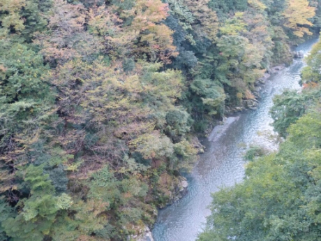 画像77
