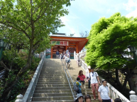画像5