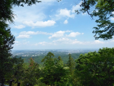 画像9