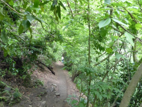 画像13