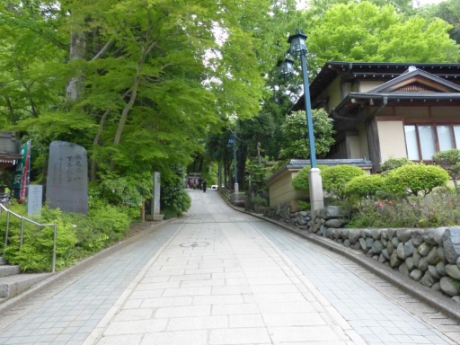 画像16