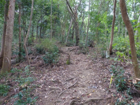 画像3