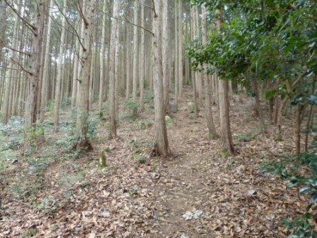 画像4
