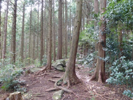 画像6