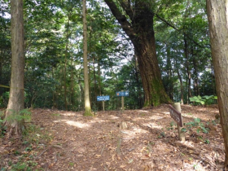 画像10