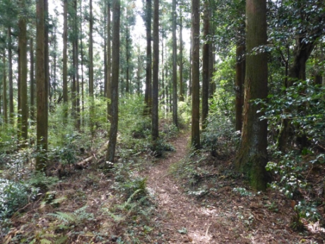 画像11