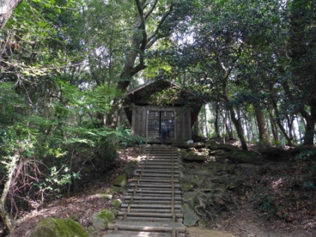 画像13