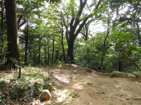 画像15