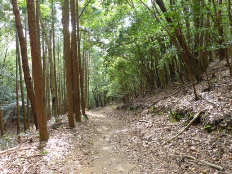 画像16