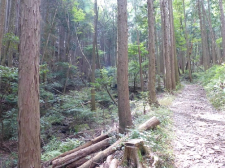 画像19
