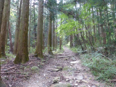 画像20