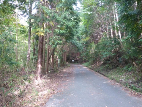画像25