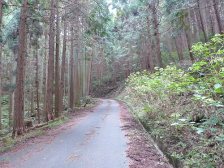画像26