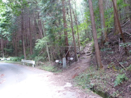 炮烙山近道分岐