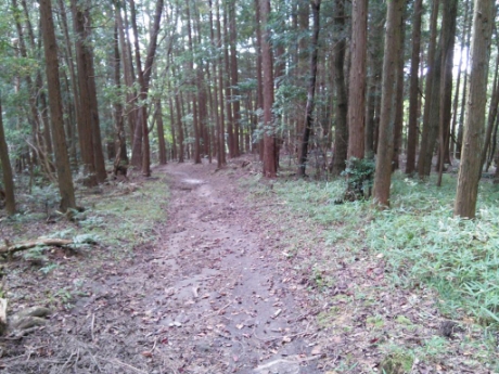 画像41
