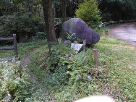 若人の森いこいの広場