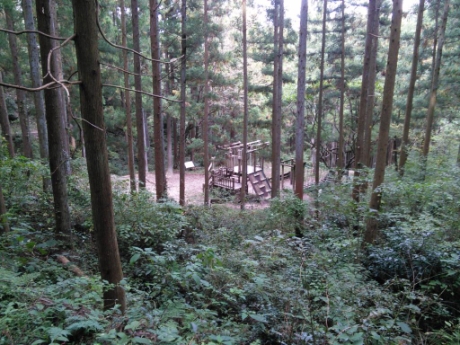 画像45