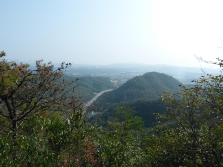 画像8