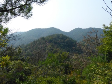 画像10