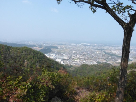 画像12