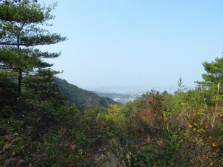 画像13