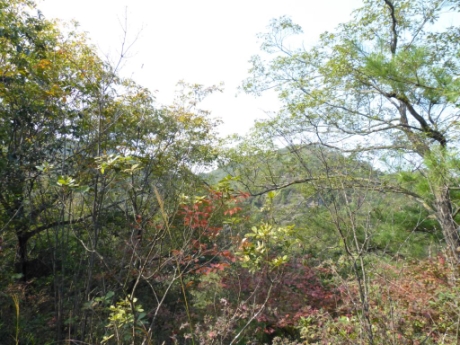 画像14