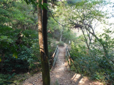 画像15