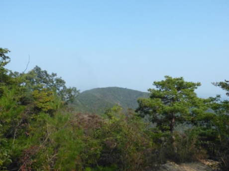 画像31
