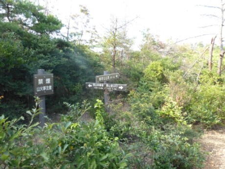 画像33