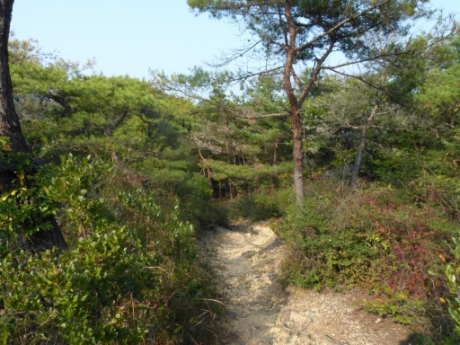 画像34