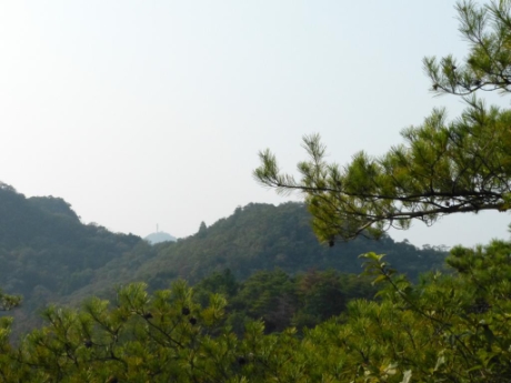画像37