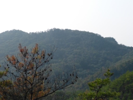 画像38