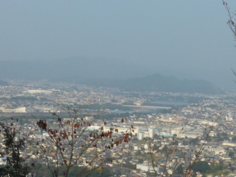 画像48