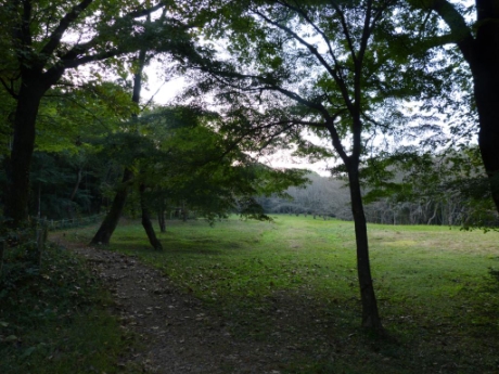 画像53