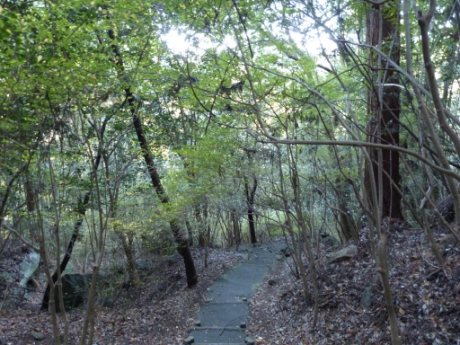 画像8
