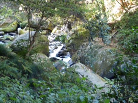 画像12