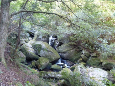 画像13