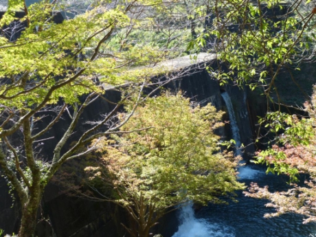 画像16