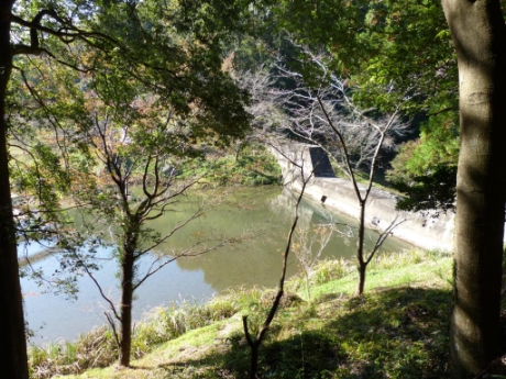 画像17