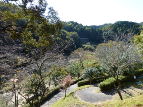 画像18