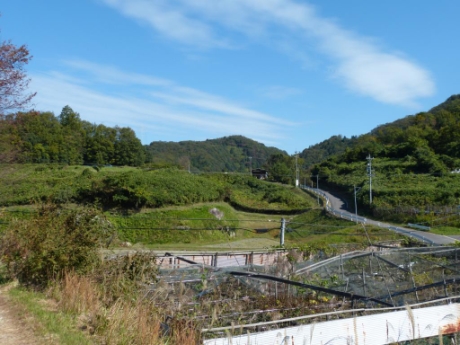 画像22