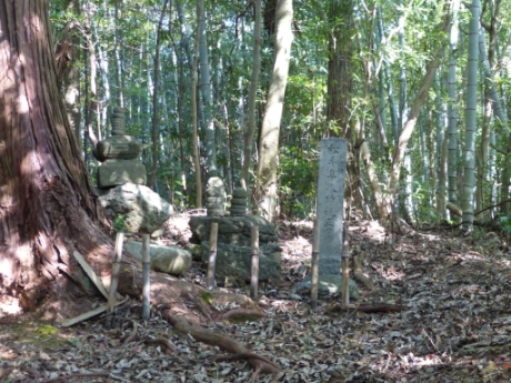 画像23