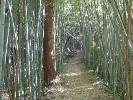 画像24