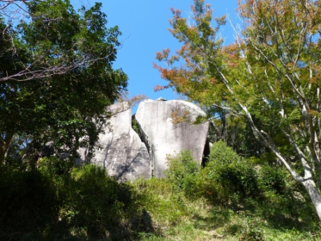 画像28