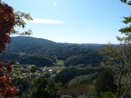 画像31