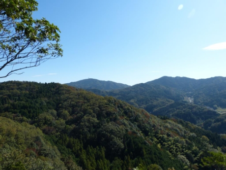 画像32