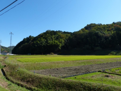 画像46