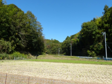 画像48