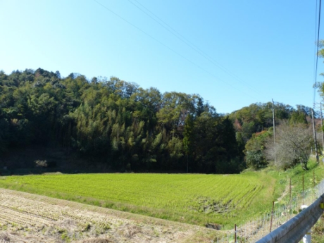 画像49